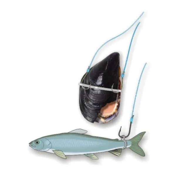 Stonfo Bait Band Agn Elastik 